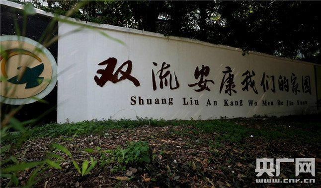 震后十年:672個孩子一個家