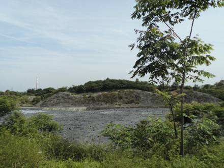 【美麗中國長江行】青山綠水還于民:探訪長壽區(qū)可持續(xù)綠色發(fā)展新道路