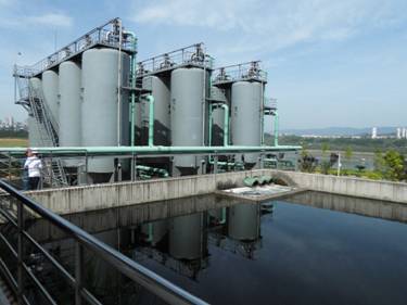 【美麗中國長江行】青山綠水還于民:探訪長壽區(qū)可持續(xù)綠色發(fā)展新道路