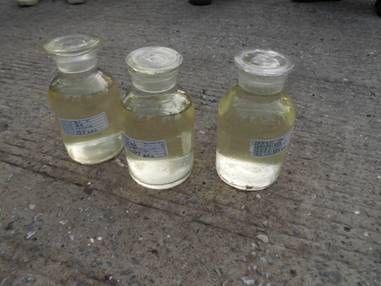 【美麗中國長江行】青山綠水還于民:探訪長壽區(qū)可持續(xù)綠色發(fā)展新道路