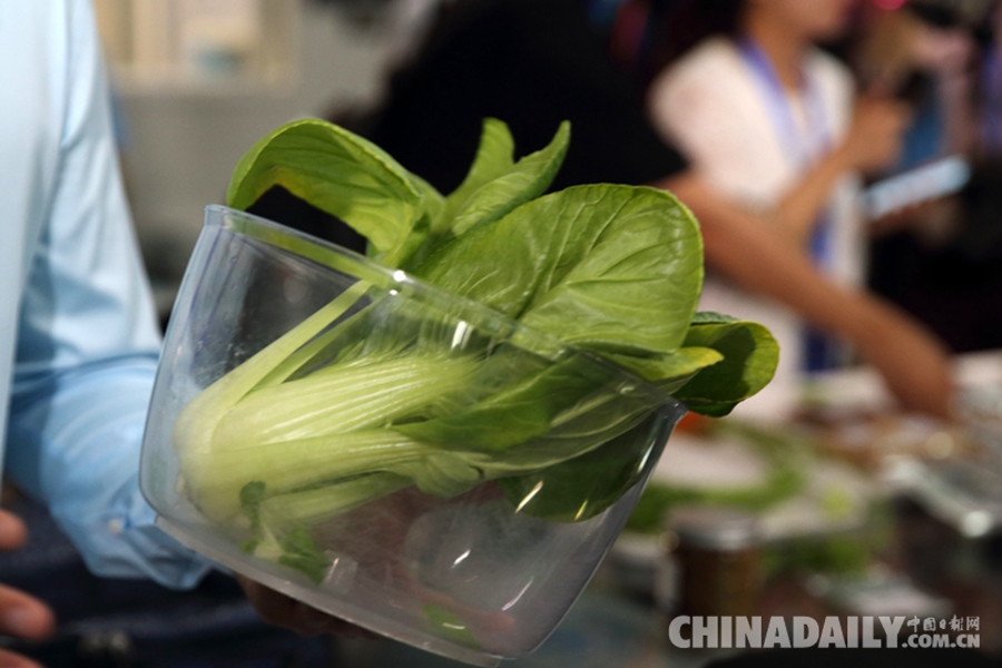 “月宮365實驗”今日出艙 再創世界紀錄