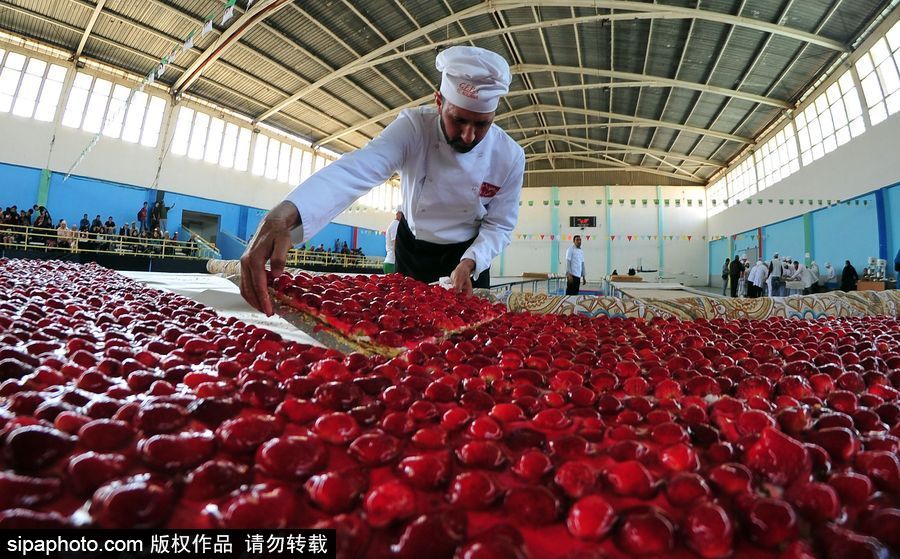 阿爾及利亞誕生世界最大草莓派 高達47.79米寬3米