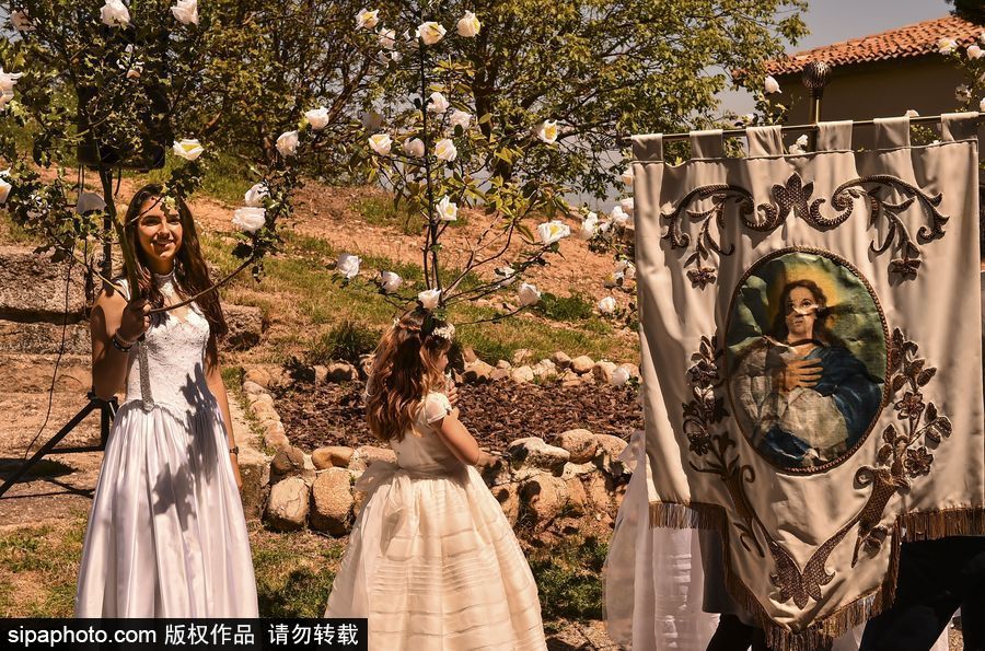 西班牙小鎮慶祝傳統節日 百名白衣“圣女”舉鮮花游行