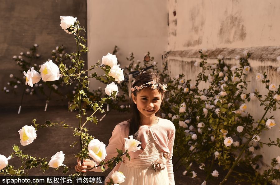 西班牙小鎮慶祝傳統節日 百名白衣“圣女”舉鮮花游行