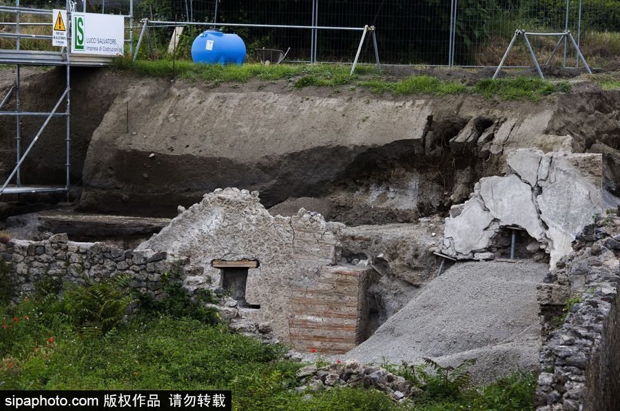 意大利考古隊發現龐貝古城建筑群“海豚之屋” 罕見保持完好