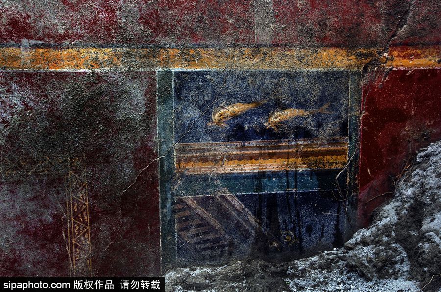 意大利考古隊(duì)發(fā)現(xiàn)龐貝古城建筑群“海豚之屋” 罕見保持完好