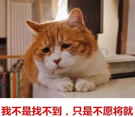 你單身的原因找到了!最新調查:七成人不愿將就,半數男生看臉