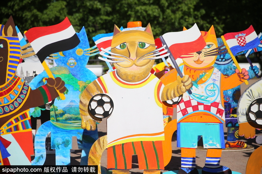 俄羅斯“預言貓”攜各國“貓咪”們現身 迎接2018世界杯到來