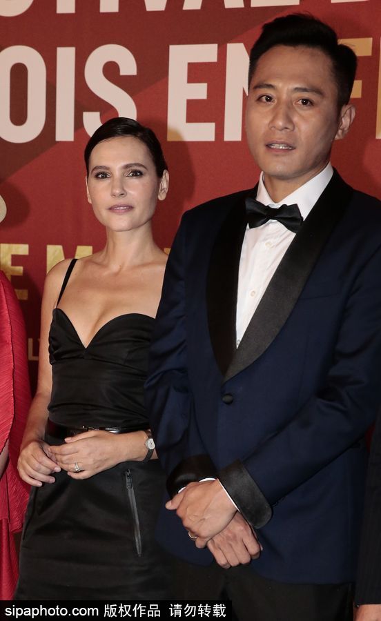 第八屆法國中國電影節巴黎開幕 劉燁擔任“中法電影推廣大使”