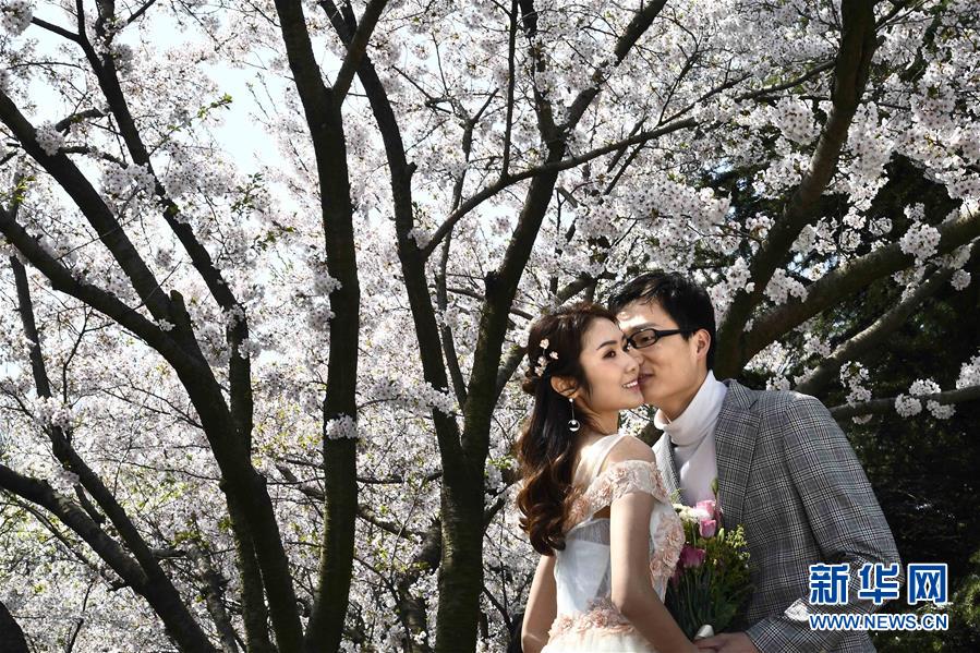 青島，浪漫之城