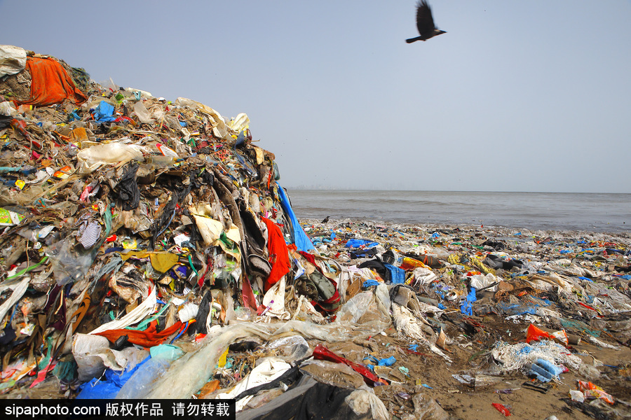 印度海灘成垃圾場 環保志愿者數年如一日堅持清理