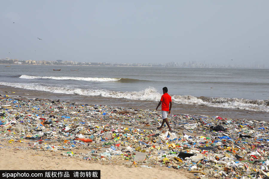 印度海灘成垃圾場 環保志愿者數年如一日堅持清理