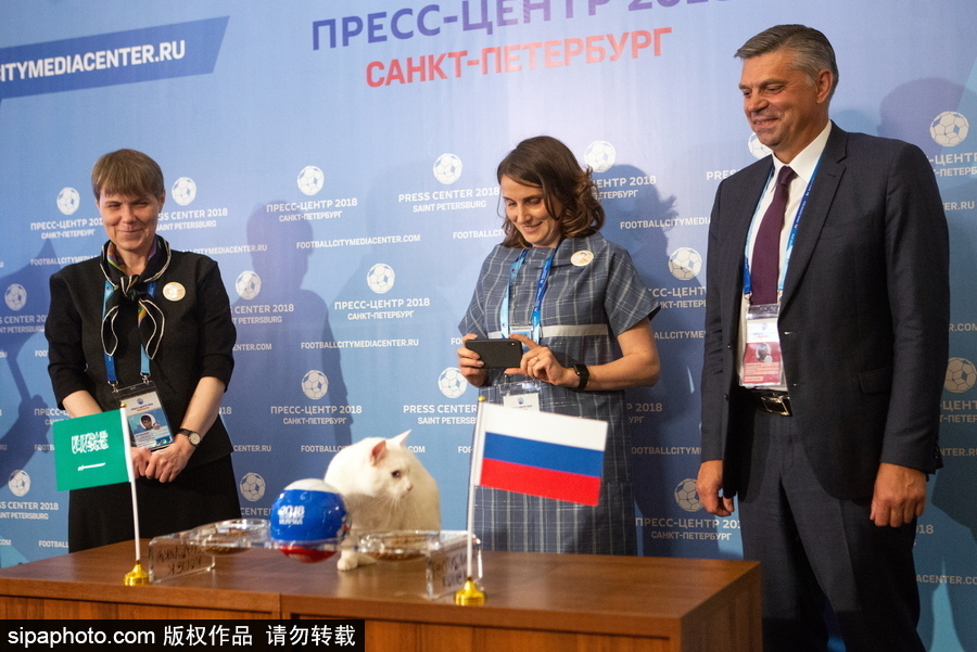 明星待遇！俄羅斯神貓預(yù)測2018世界杯揭幕戰(zhàn)勝者