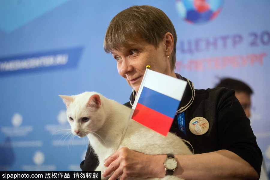 明星待遇！俄羅斯神貓預測2018世界杯揭幕戰勝者