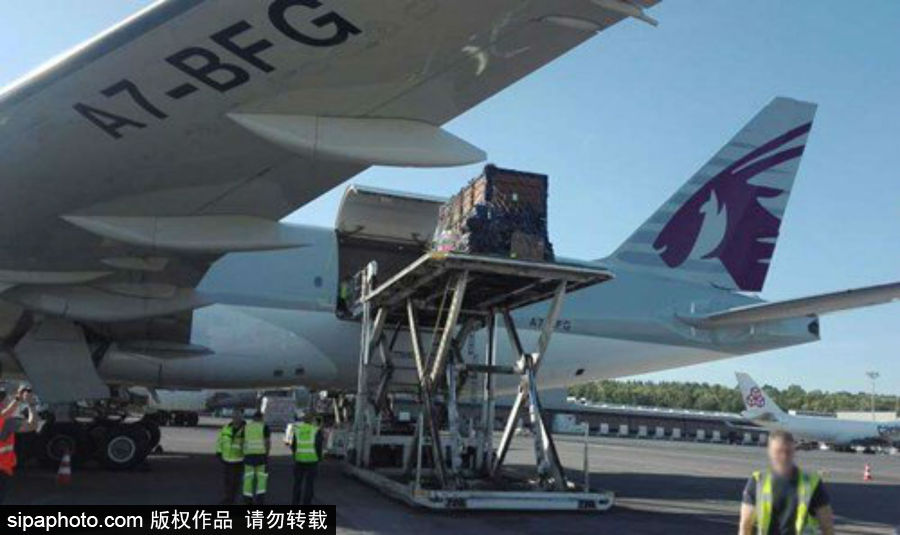 “網(wǎng)紅”犀牛千里尋“愛” 專人護(hù)送陣仗十足