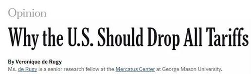 專家懟人果然有文化,批特朗普:“關(guān)稅猛藥”治不好“逆差病”,反要了性命丨外媒說