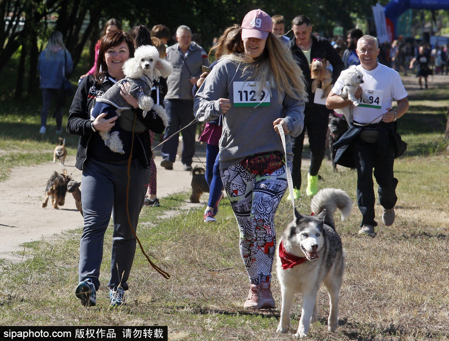 烏克蘭基輔舉行狗狗慈善跑 現場賣萌大比拼