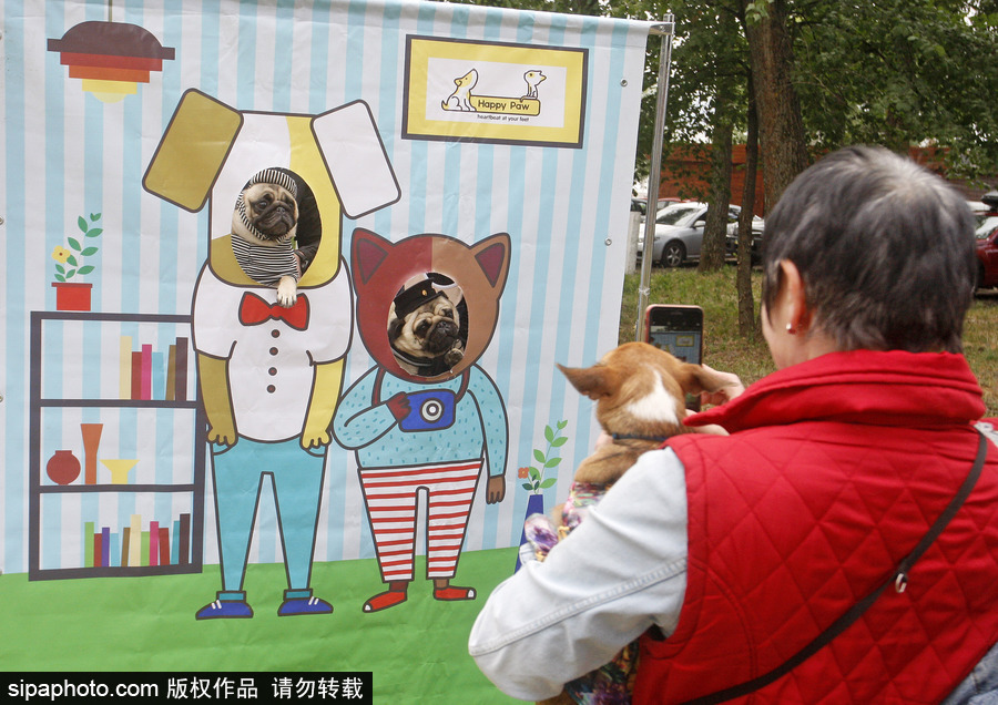 烏克蘭基輔舉行狗狗慈善跑 現(xiàn)場賣萌大比拼