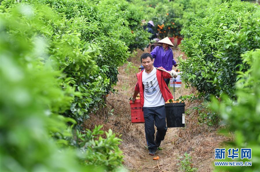 在新時代黨的陽光照耀下前進——習近平總書記關心關懷青年和青年工作紀實