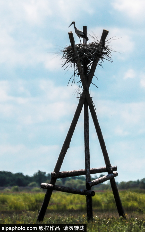 遠(yuǎn)離塵囂的動(dòng)物棲息地 探訪俄羅斯別廖佐夫斯基自然保護(hù)區(qū)