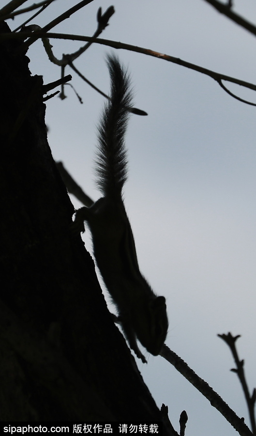 遠離塵囂的動物棲息地 探訪俄羅斯別廖佐夫斯基自然保護區