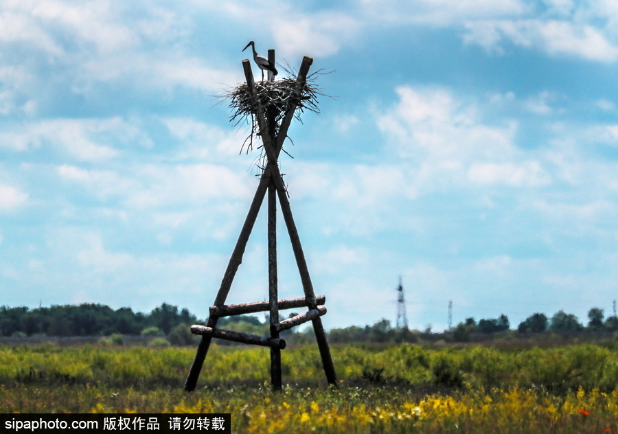 遠(yuǎn)離塵囂的動(dòng)物棲息地 探訪俄羅斯別廖佐夫斯基自然保護(hù)區(qū)