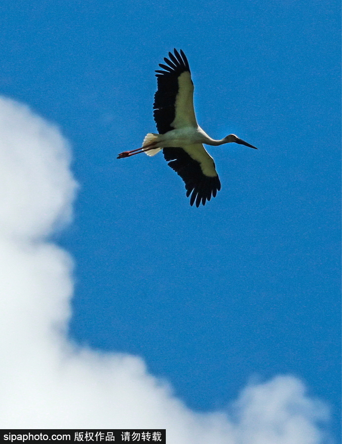 遠離塵囂的動物棲息地 探訪俄羅斯別廖佐夫斯基自然保護區