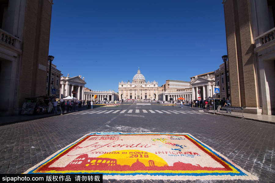 意大利羅馬舉行花毯節(jié) 鮮花地毯五彩繽紛美如畫
