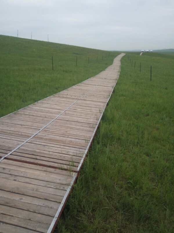 將環保進行到底!九曲彎建最原生態草原