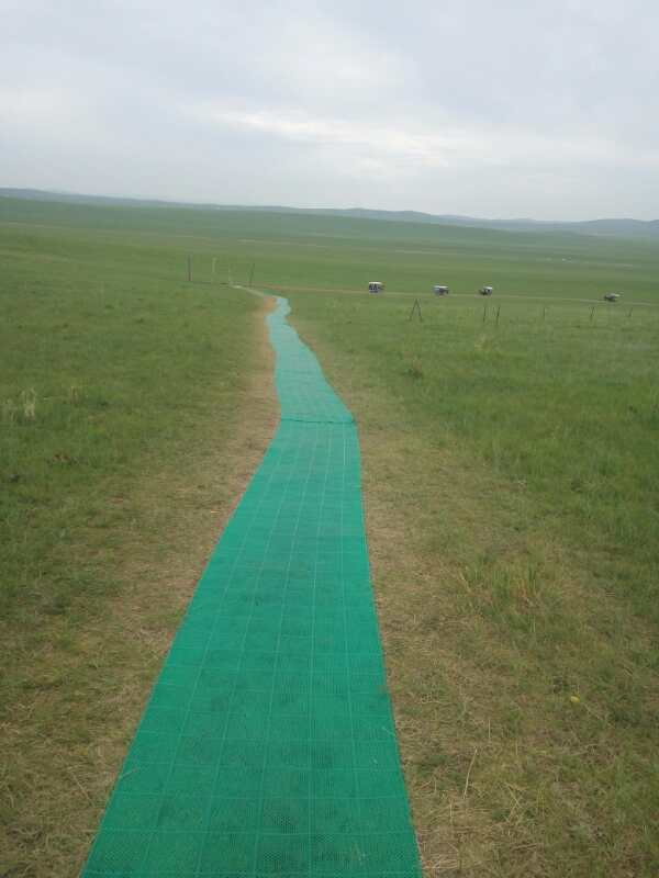 將環保進行到底!九曲彎建最原生態草原