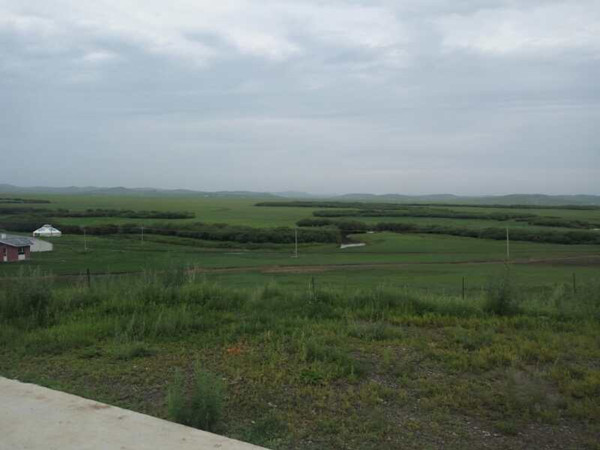 將環保進行到底!九曲彎建最原生態草原