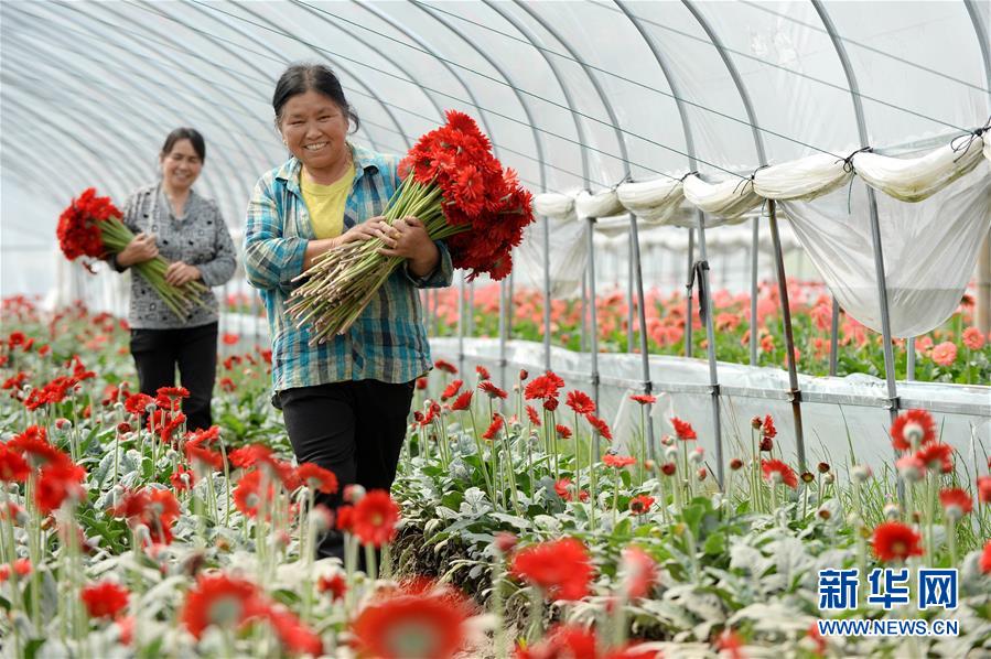 擘畫新時代中國發(fā)展新坐標——深入推動長江經濟帶發(fā)展述評