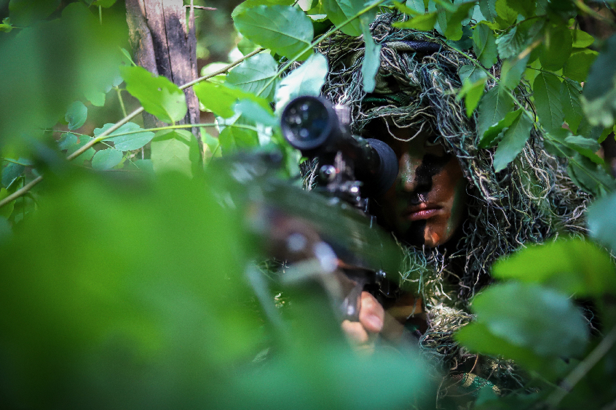 王牌出手！他們是戰(zhàn)場上的“狩獵者”