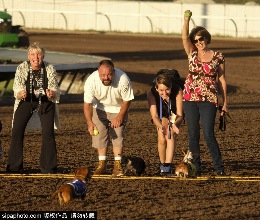 另類速度與激情！第23屆美國年度賽狗大會開幕