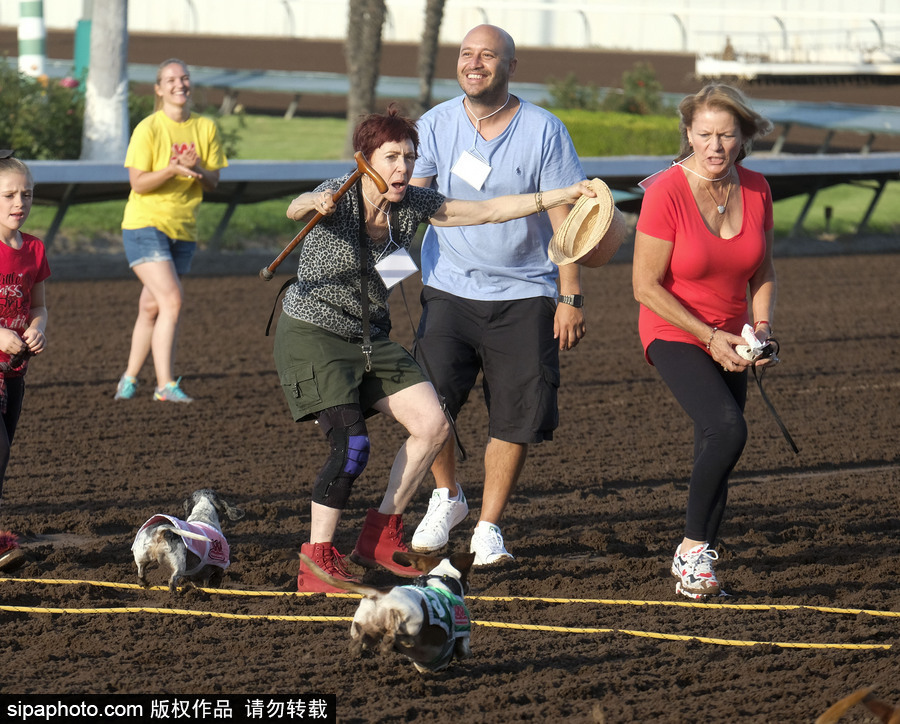 另類速度與激情！第23屆美國年度賽狗大會開幕