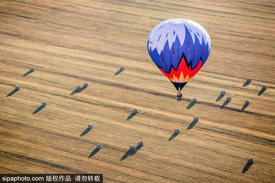 田野上放飛的彩色希望！俄羅斯下諾夫哥羅德舉辦熱氣球節