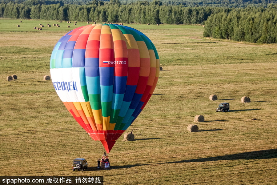 田野上放飛的彩色希望！俄羅斯下諾夫哥羅德舉辦熱氣球節