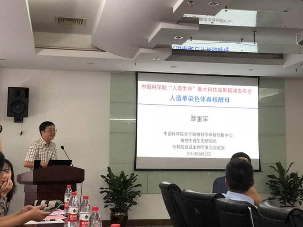 國際首例人造單染色體真核細胞創建成功 中國實現合成生物學里程碑式突破