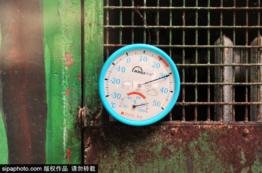 北京動(dòng)物園開(kāi)啟防暑模式 小動(dòng)物們應(yīng)對(duì)高溫有“奇招”