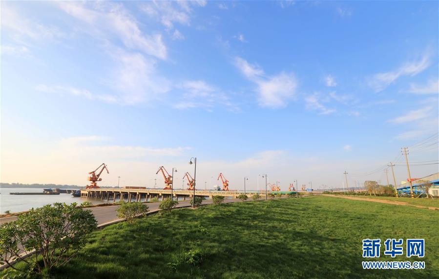 為了“一岸翠綠”——江西九江生態修復百里長江