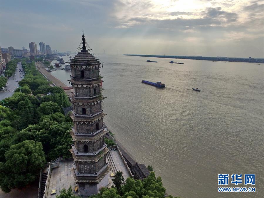 為了“一岸翠綠”——江西九江生態修復百里長江