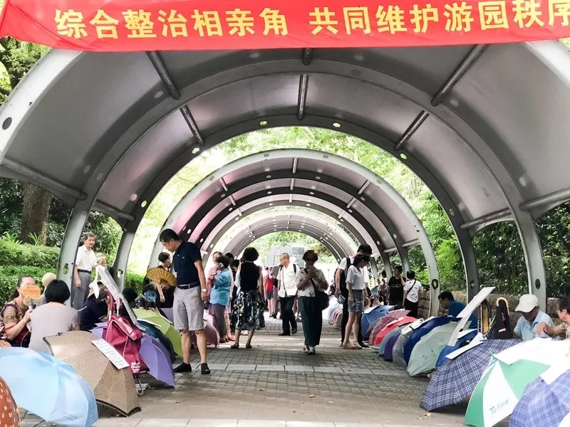 外媒說:為什么現(xiàn)在年輕人不著急結(jié)婚?美媒:因?yàn)楦嗯越?jīng)濟(jì)獨(dú)立