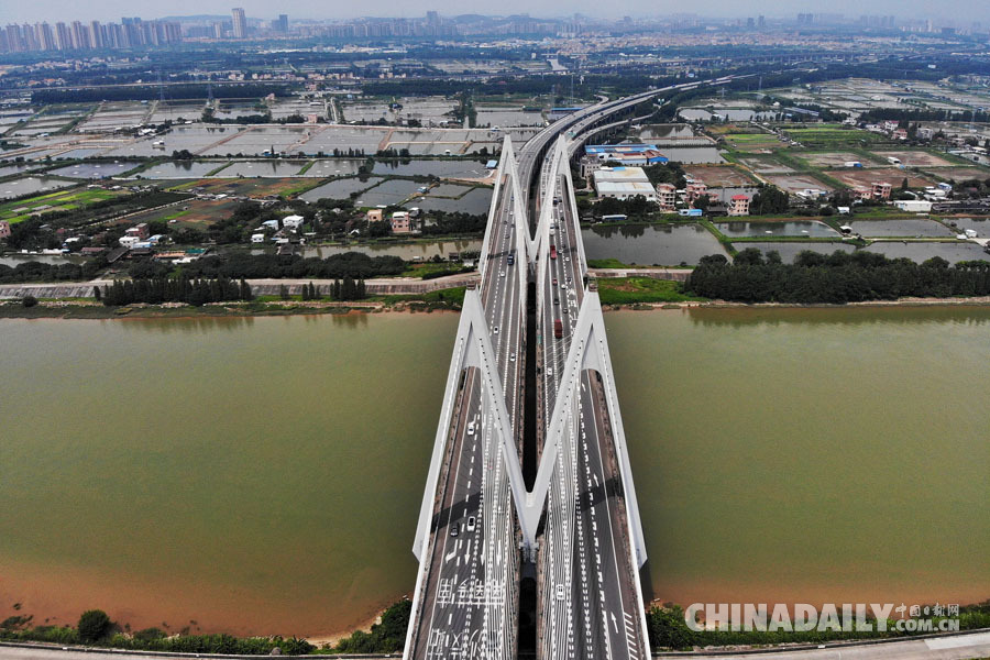 南沙的橋：縱貫灣區通世界