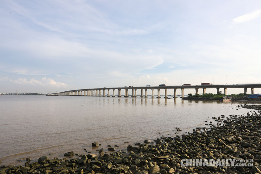 南沙的橋：縱貫灣區通世界