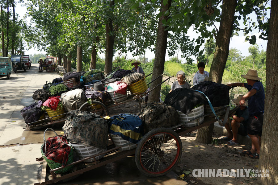 【發現長江】安徽銅陵和悅洲蔬菜有機種植 居民與江豚和諧共生