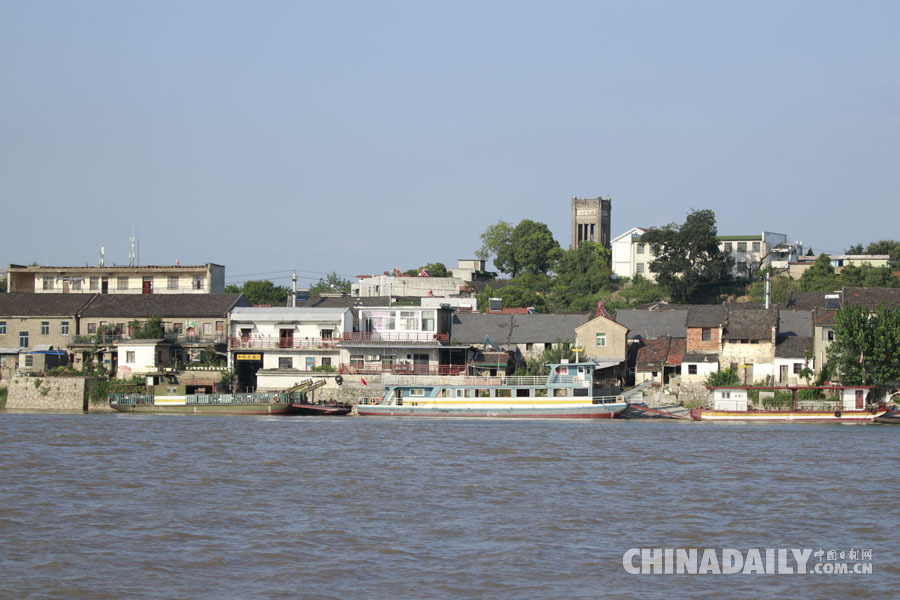 【發(fā)現(xiàn)長江】安徽銅陵和悅洲蔬菜有機種植 居民與江豚和諧共生