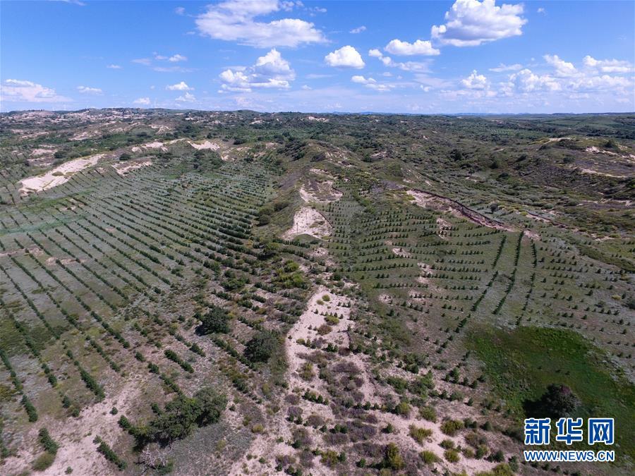 塞外鄉村的綠之變