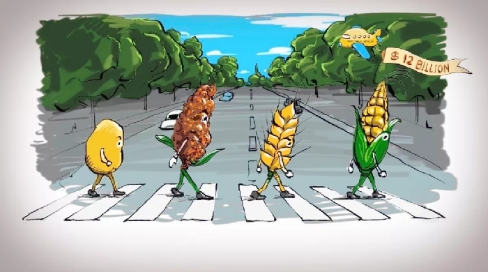 身為堅果，生活不易 | Animation: For a nut, life is hard