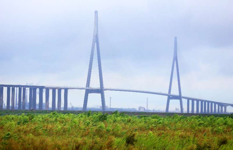 蘇通大橋斜拉索阻尼器因臺風(fēng)斷裂 車輛恢復(fù)部分通行