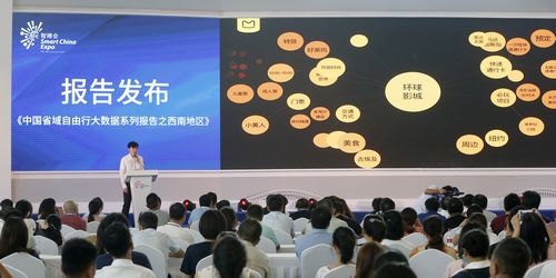 中國(guó)旅游大數(shù)據(jù)中心在智博會(huì)上授牌 一批智慧旅游新項(xiàng)目落戶重慶